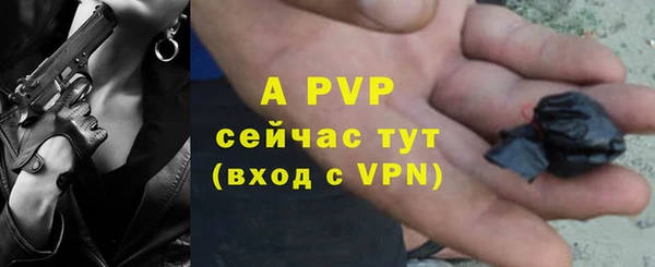 соль ск Бородино