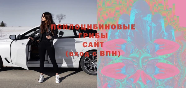 метадон Богородицк